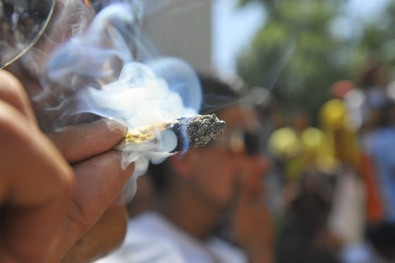 Uruguay podría tener marihuana legal en farmacias en 8 meses