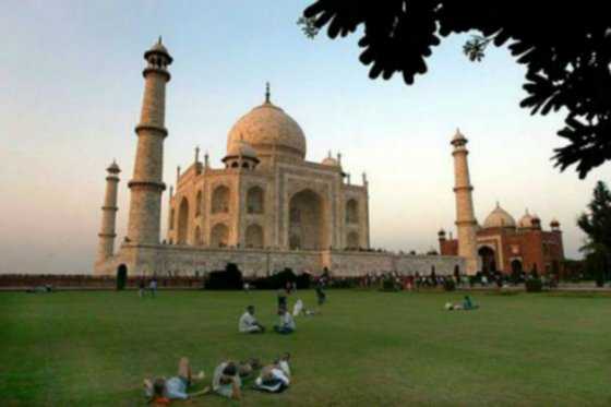 ¿Por qué el Taj Mahal se está poniendo verde?