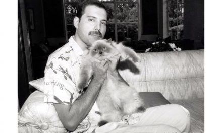 Documentales sobre Freddie Mercury y “A Night at the Opera” de Queen, este viernes en TV