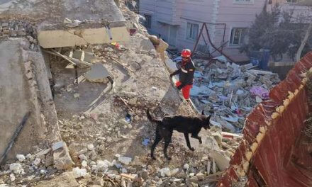 Aun con nuevos rescates, muertos por terremoto en Turquía y Siria suben a 12.000