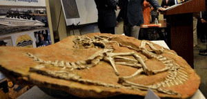 Estados Unidos repatría a Mongolia fósiles de 18 dinosaurios