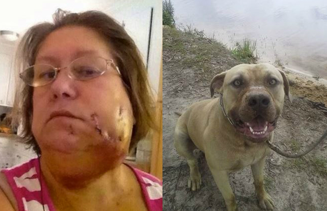 Mujer fue atacada en la cara por un perro durante un Ice Bucket Challenge