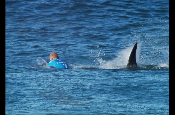 Surfista australiano sobrevive al ataque de un tiburón