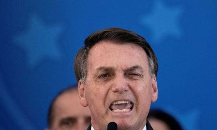Una plaga de ratas rodea el palacio de Bolsonaro