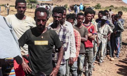 Al menos 600 civiles murieron en la masacre registrada el 9 de noviembre en Tigré