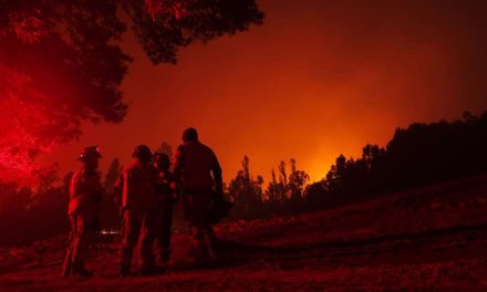 En imágenes: incendios en Chile cumplen una semana sin ser controlados